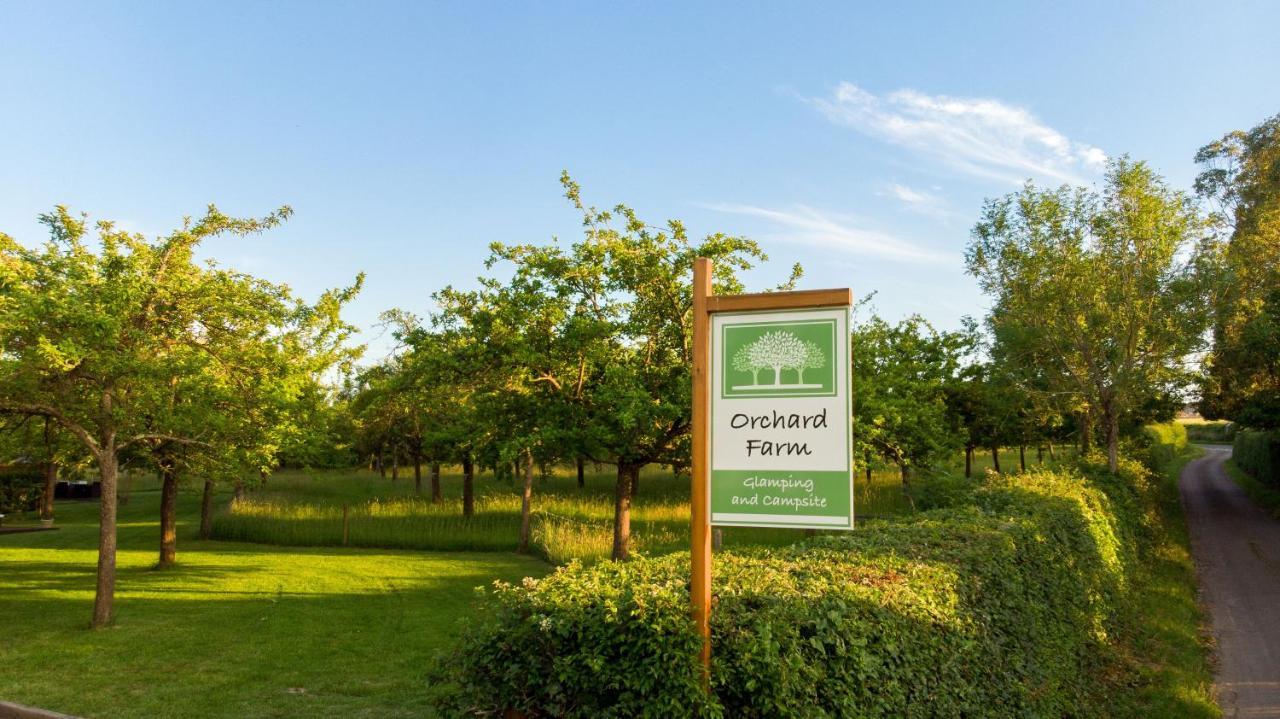 Orchard Farm Luxury Glamping And Campsite Glastonbury Esterno foto