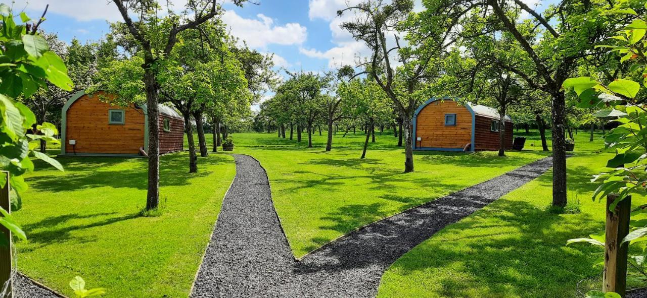 Orchard Farm Luxury Glamping And Campsite Glastonbury Esterno foto