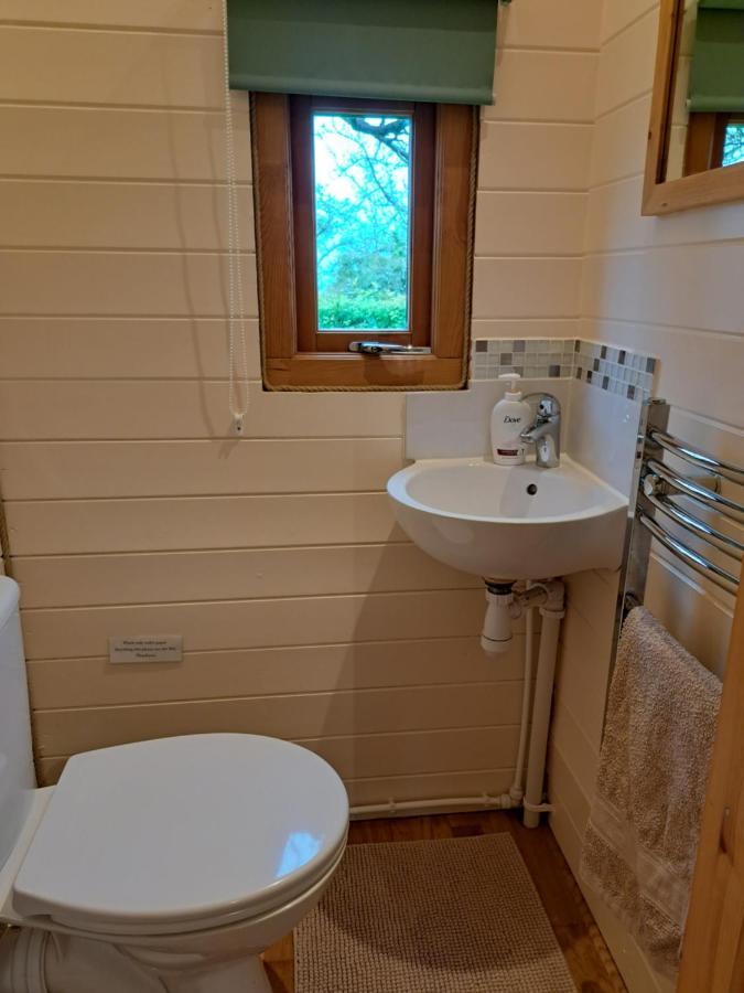 Orchard Farm Luxury Glamping And Campsite Glastonbury Esterno foto