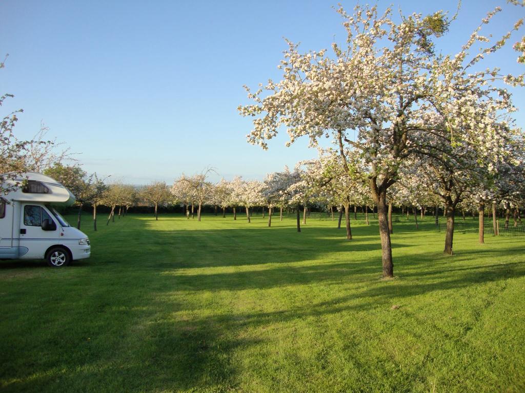 Orchard Farm Luxury Glamping And Campsite Glastonbury Esterno foto