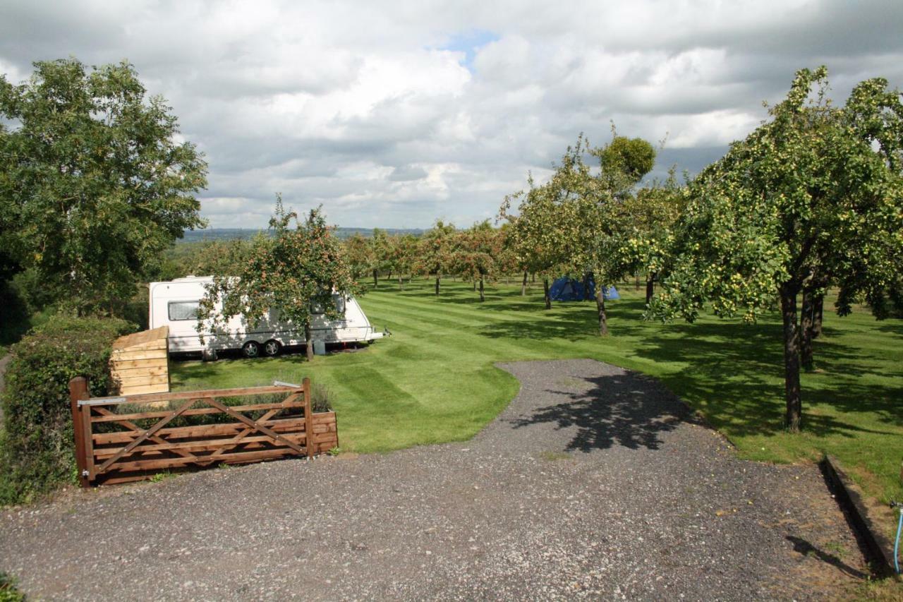 Orchard Farm Luxury Glamping And Campsite Glastonbury Esterno foto